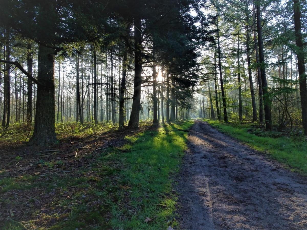 Veluwe Park Reewold Chalet Vision プッテン エクステリア 写真
